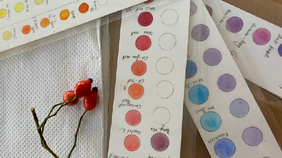 Auf einem Tisch liegen Farbproben zum Zeichnen, ein Papierhandtuch und darauf ein kleiner Ast mit drei Hagebutten. Auf einem Tisch liegen Farbproben zum Zeichnen, ein Papierhandtuch und darauf ein kleiner Ast mit drei Hagebutten.