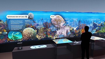 Ferienprogramm | Leben im Korallenriff