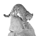 Naturhistorisches Museum Rudolstadt